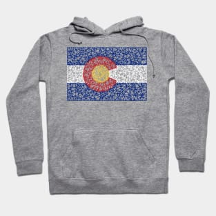 Low Poly Colorado Flag Hoodie